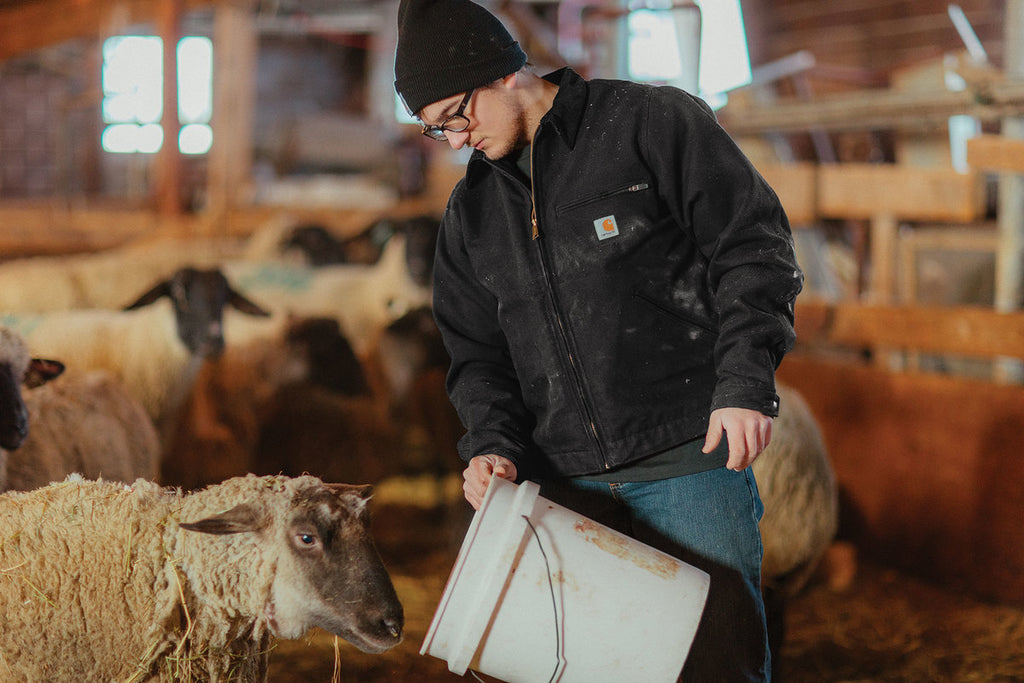 Carhartt® Duck Detroit Jacket – CT103828
