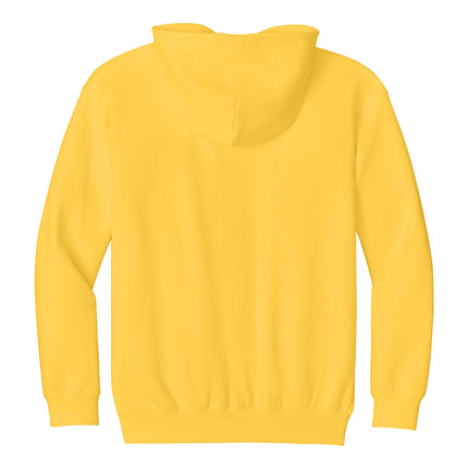 Gildan Youth Softstyle Midweight Fleece Hoodie – SF500B
