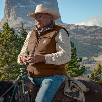 Carhartt® Montana Insulated Vest – CT105475
