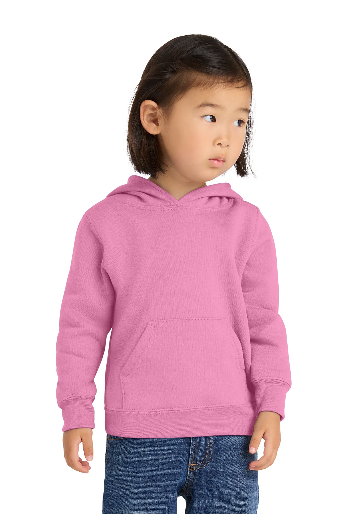 Port & Co Toddler Core Fleece Pullover Hooded Sweatshirt – CAR78TH