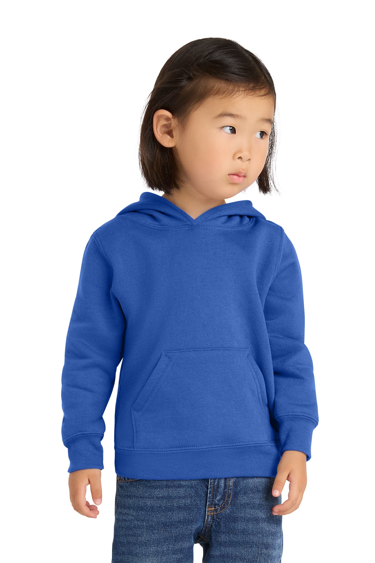 Port & Co Toddler Core Fleece Pullover Hooded Sweatshirt – CAR78TH