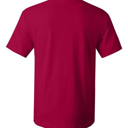Hanes Unisex Essential‑T T‑Shirt – 5280