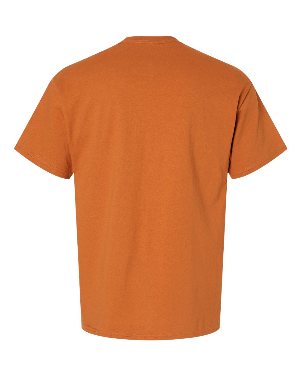 Hanes Unisex Essential‑T T‑Shirt – 5280