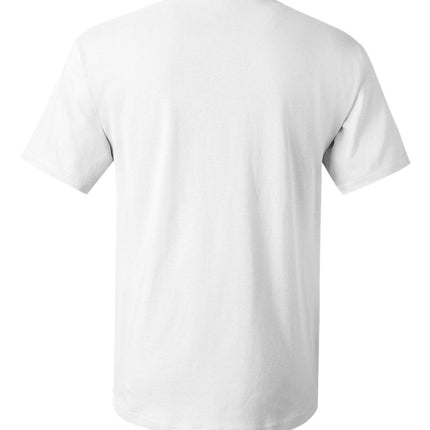 Hanes Unisex Essential‑T T‑Shirt – 5280