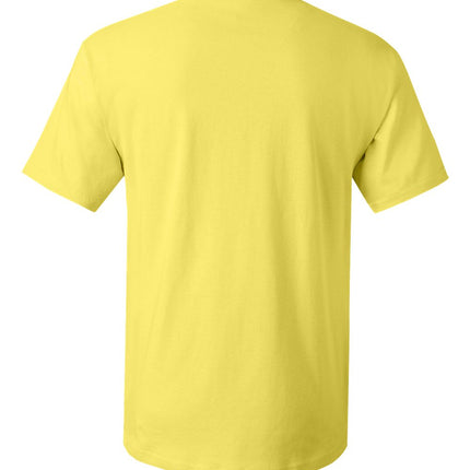 Hanes Unisex Essential‑T T‑Shirt – 5280