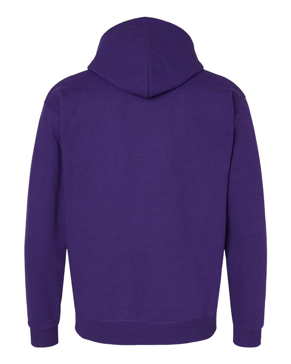 Hanes Unisex EcoSmart® Hooded Sweatshirt – P170