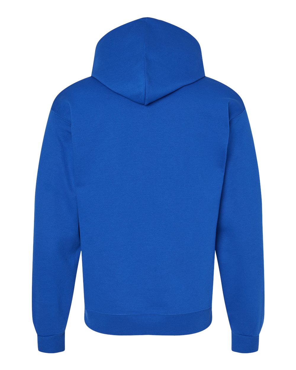 Hanes Unisex EcoSmart® Hooded Sweatshirt – P170