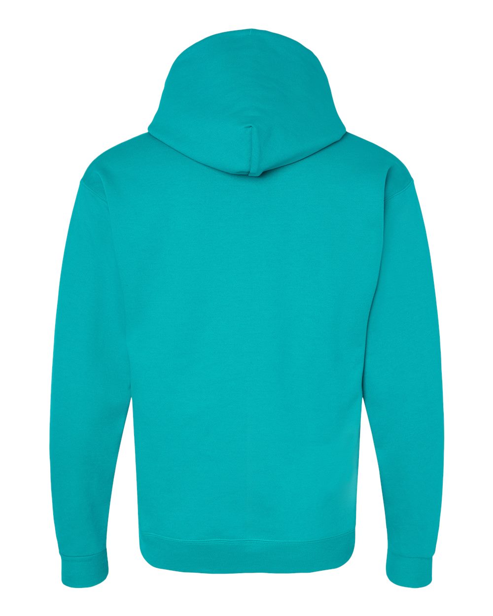 Hanes Unisex EcoSmart® Hooded Sweatshirt – P170