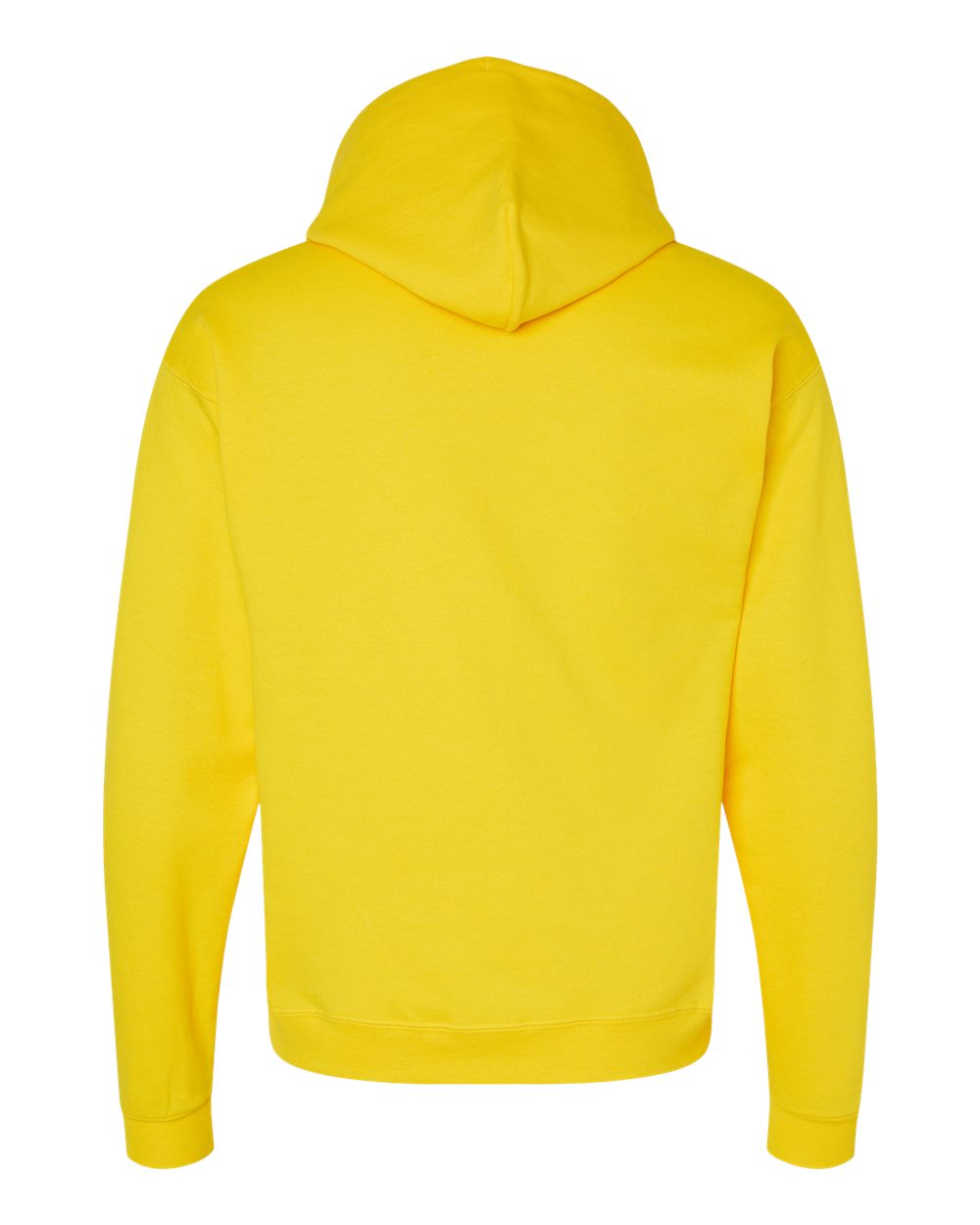 Hanes Unisex EcoSmart® Hooded Sweatshirt – P170