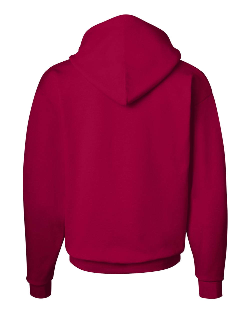 Hanes Unisex EcoSmart® Hooded Sweatshirt – P170