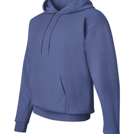 Hanes Unisex EcoSmart® Hooded Sweatshirt – P170