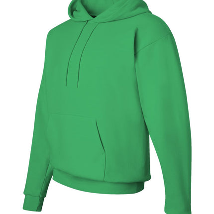 Hanes Unisex EcoSmart® Hooded Sweatshirt – P170