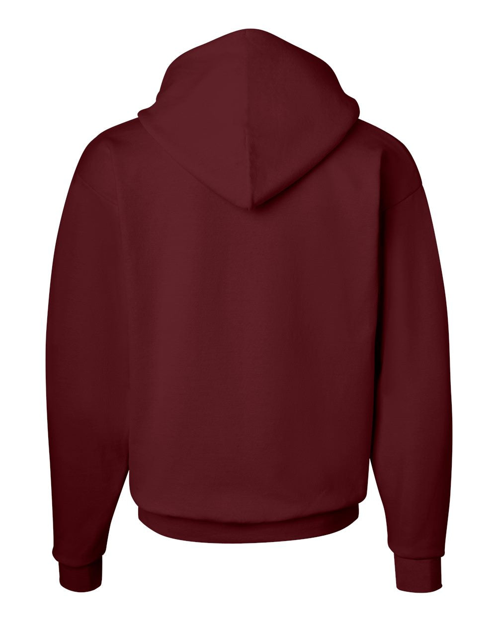 Hanes Unisex EcoSmart® Hooded Sweatshirt – P170