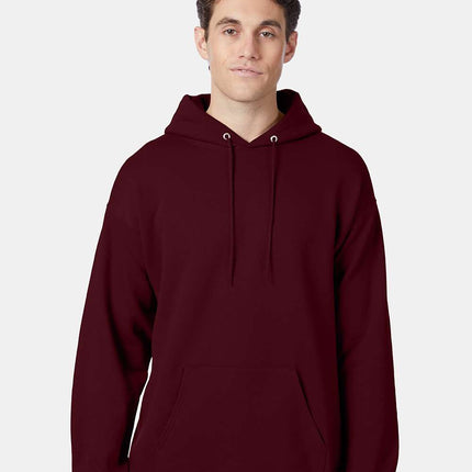 Hanes Unisex EcoSmart® Hooded Sweatshirt – P170