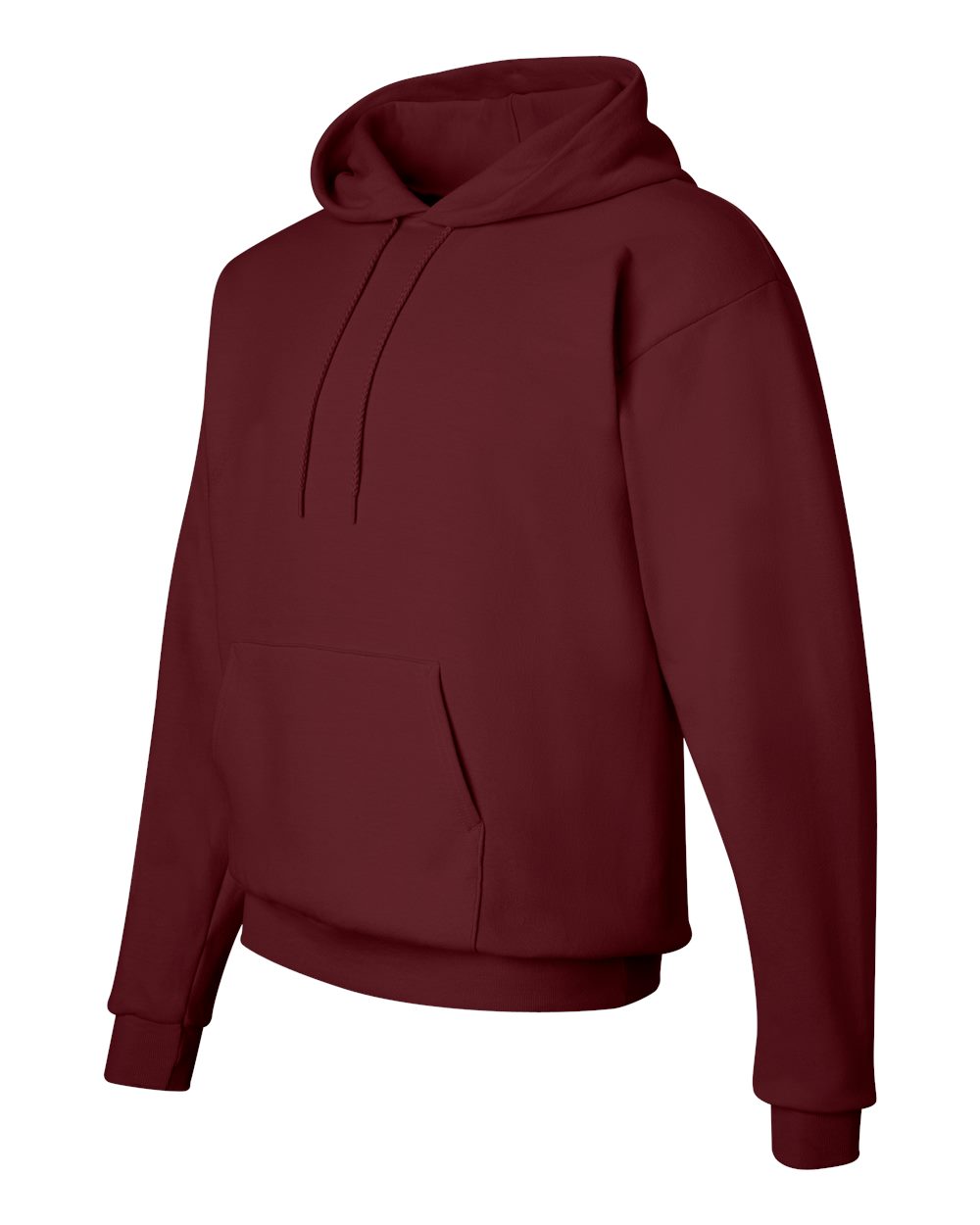 Hanes Unisex EcoSmart® Hooded Sweatshirt – P170