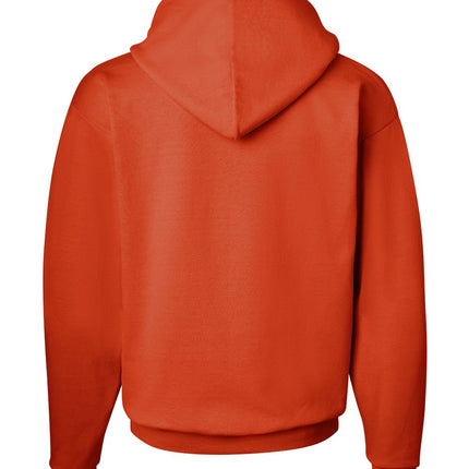 Hanes Unisex EcoSmart® Hooded Sweatshirt – P170