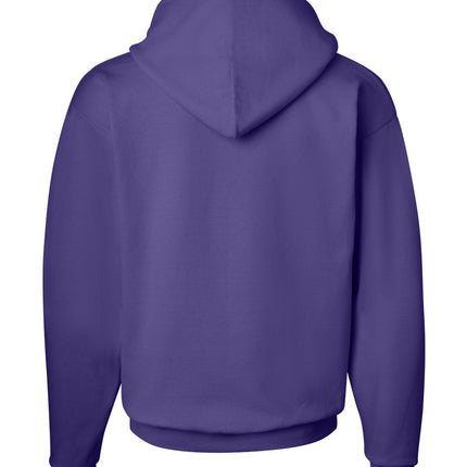 Hanes Unisex EcoSmart® Hooded Sweatshirt – P170