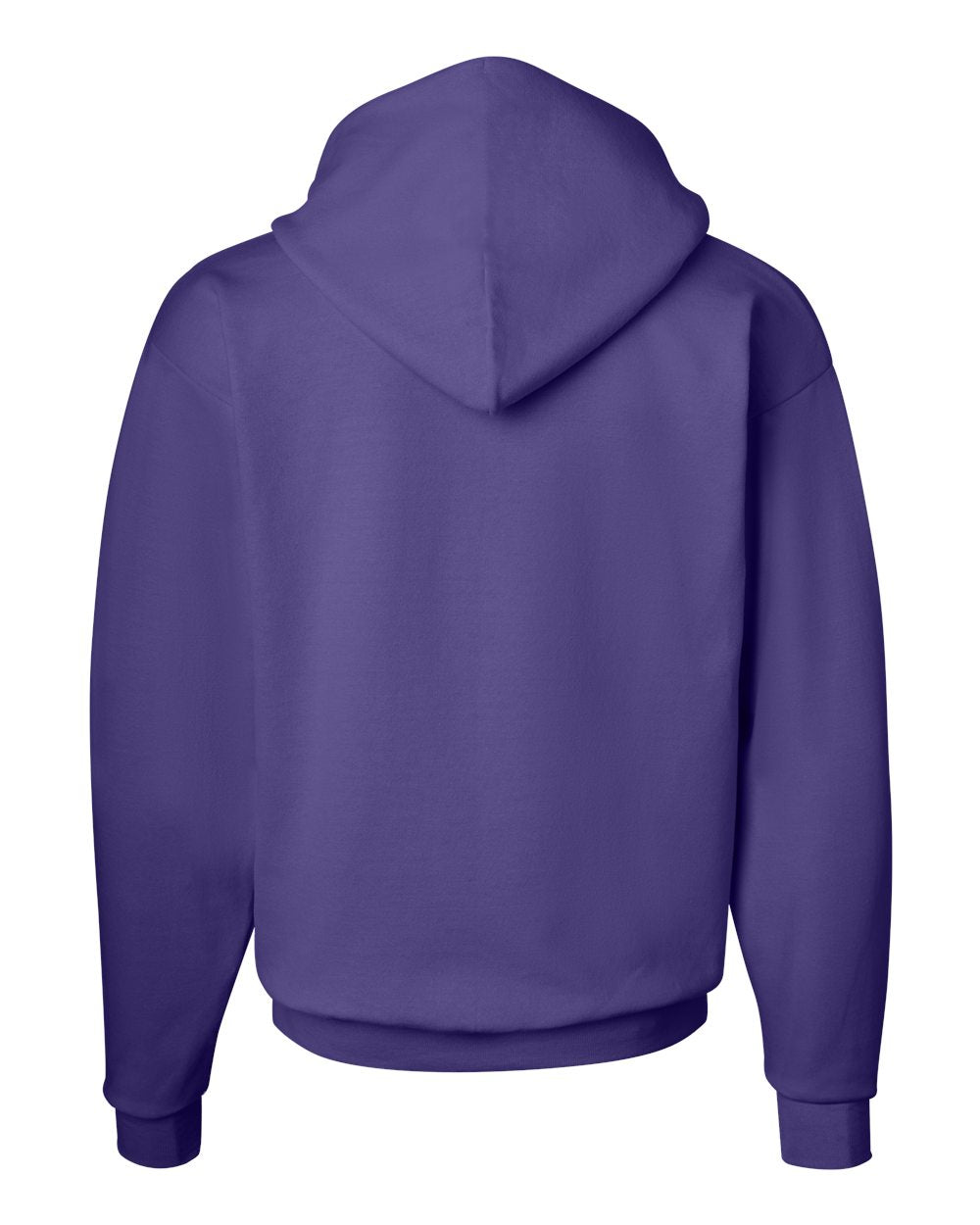 Hanes Unisex EcoSmart® Hooded Sweatshirt – P170