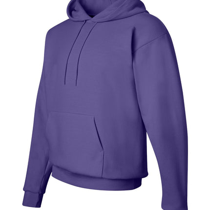 Hanes Unisex EcoSmart® Hooded Sweatshirt – P170