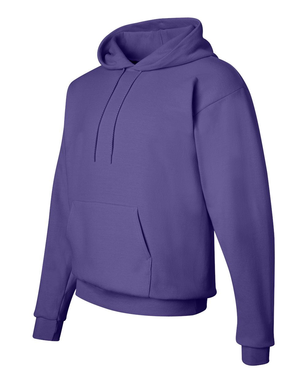 Hanes Unisex EcoSmart® Hooded Sweatshirt – P170