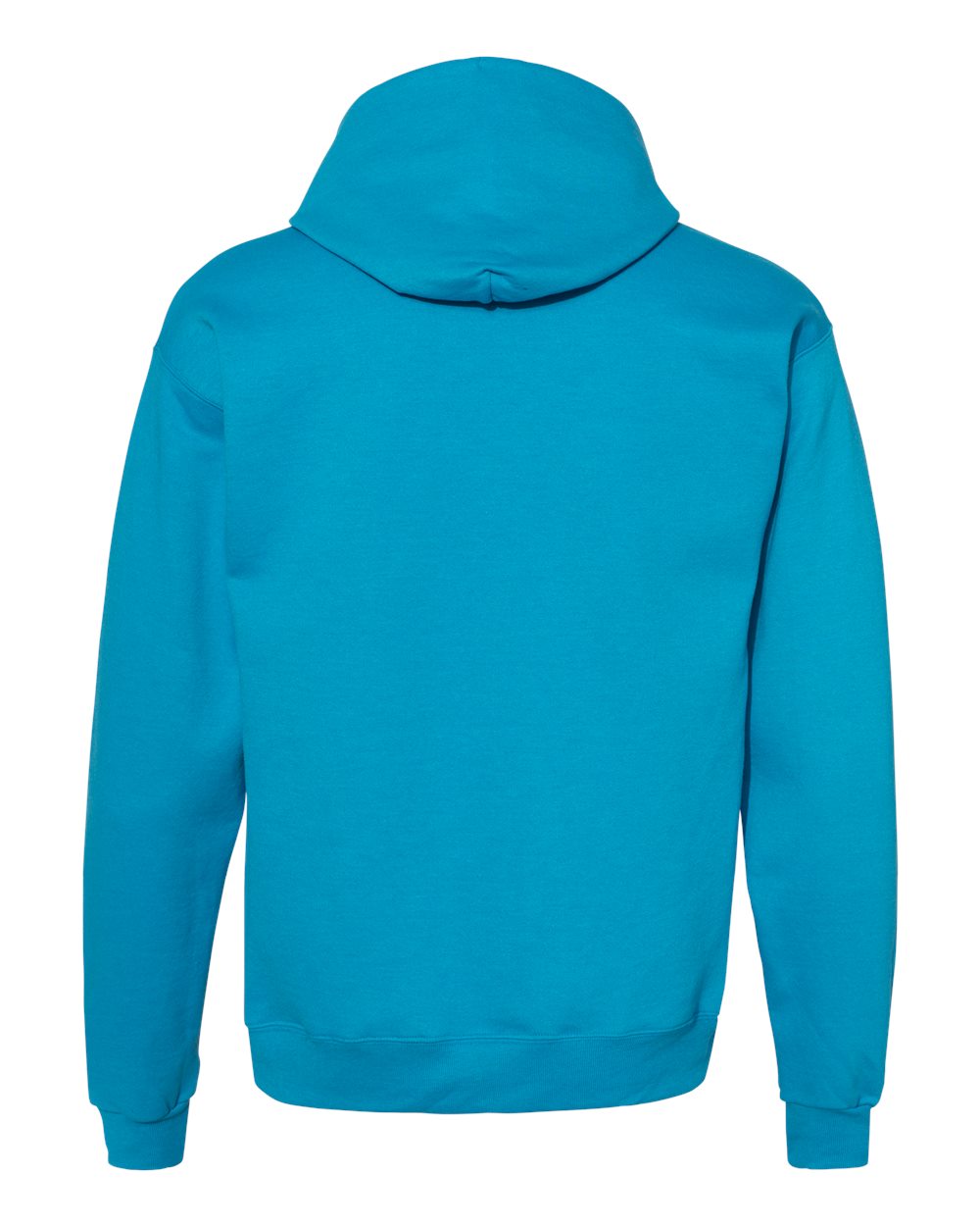 Hanes Unisex EcoSmart® Hooded Sweatshirt – P170
