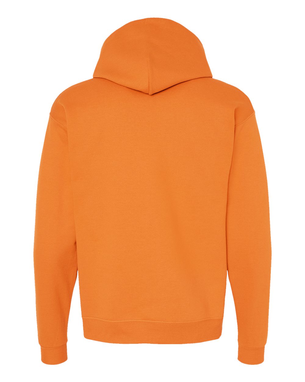 Hanes Unisex EcoSmart® Hooded Sweatshirt – P170