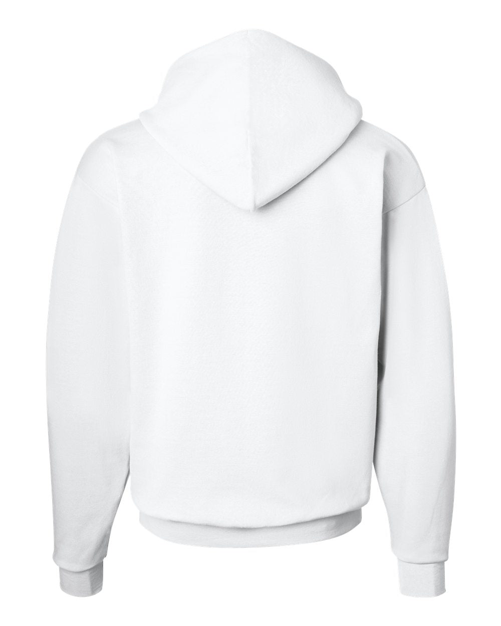 Hanes Unisex EcoSmart® Hooded Sweatshirt – P170