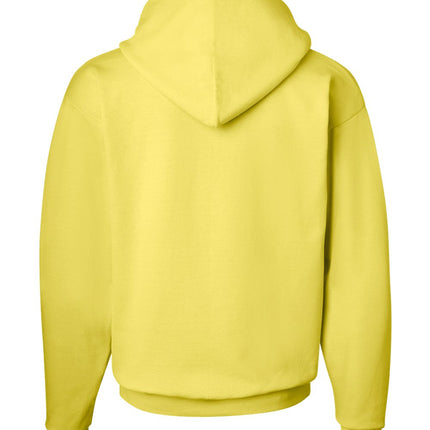 Hanes Unisex EcoSmart® Hooded Sweatshirt – P170
