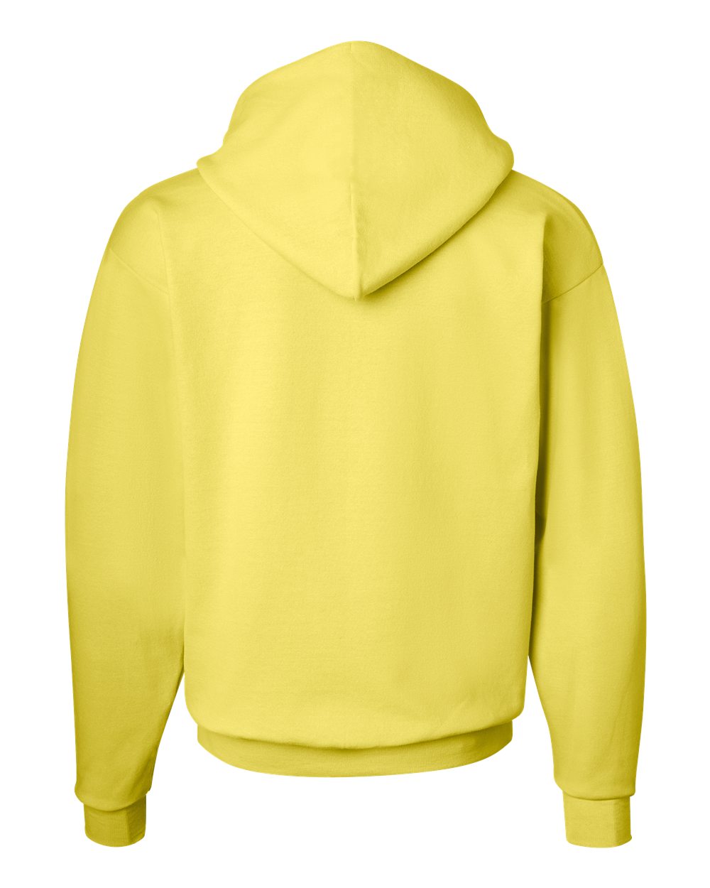 Hanes Unisex EcoSmart® Hooded Sweatshirt – P170